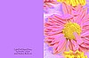 Small Note Card Light Pink Digital Daisy - Set of 5